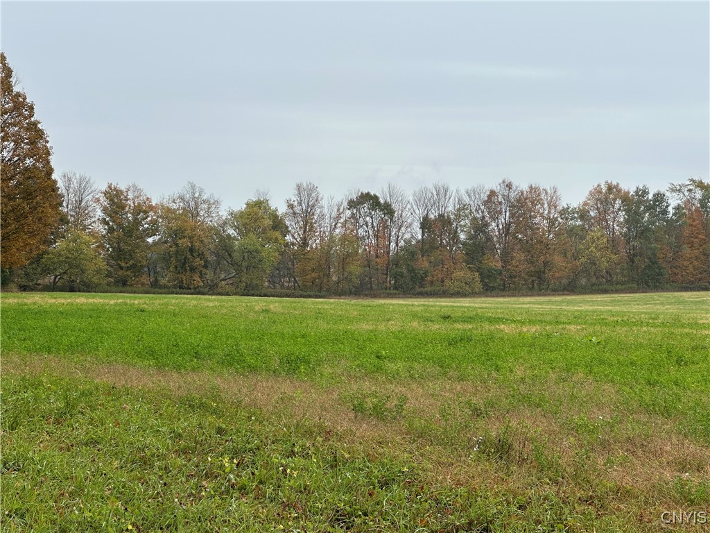 Stokes Lee Center Road Lee Center, NY 13363 - Photo 5 of 21