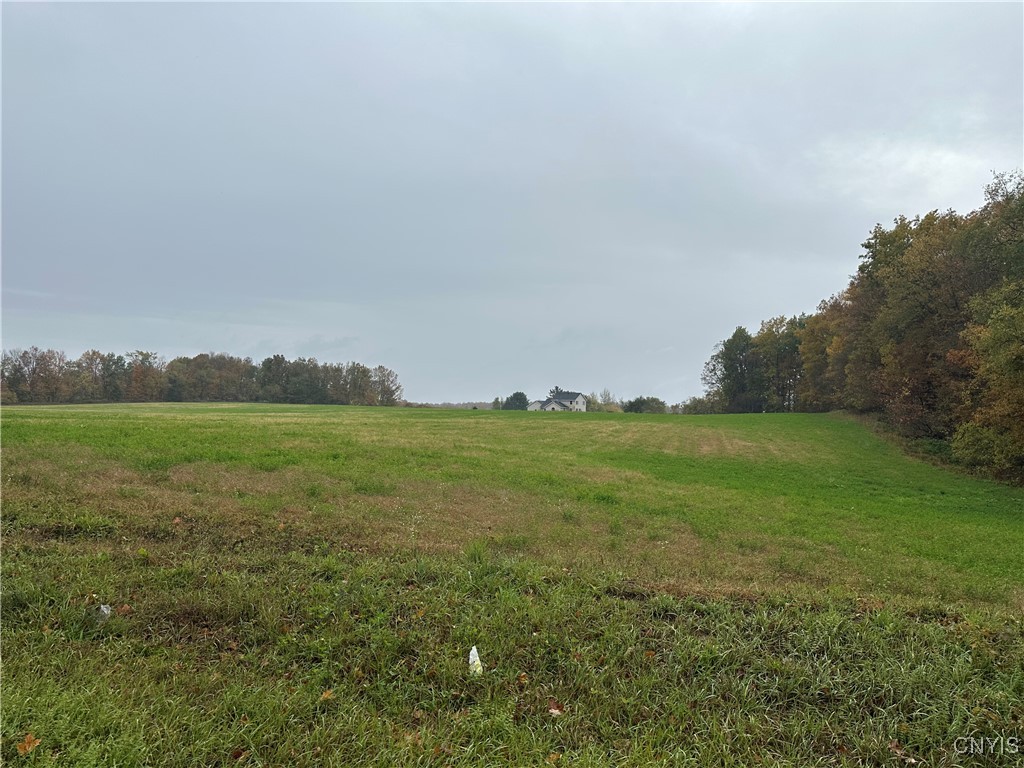 Stokes Lee Center Road Lee Center, NY 13363 - Photo 6 of 21
