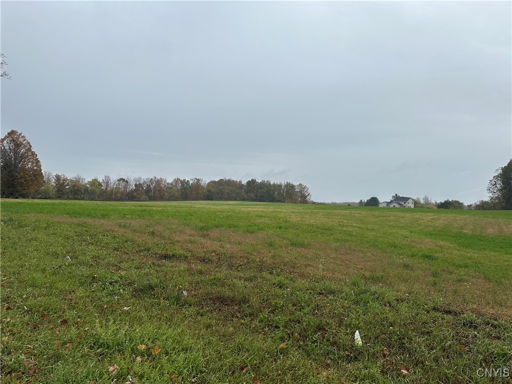 Stokes Lee Center Road Lee Center, NY 13363 - Photo 7 of 21