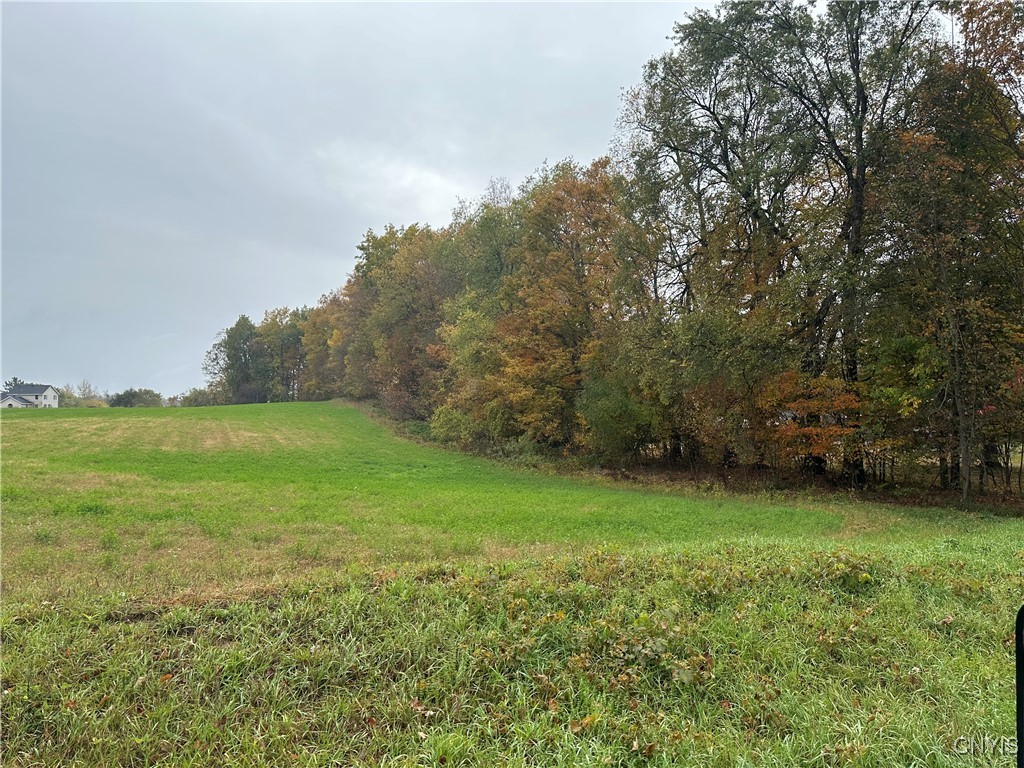 Stokes Lee Center Road Lee Center, NY 13363 - Photo 8 of 21