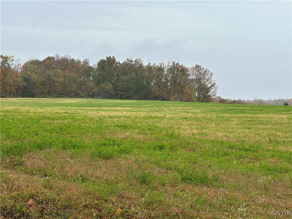 Stokes Lee Center Road Lee Center, NY 13363 - Photo 9 of 21