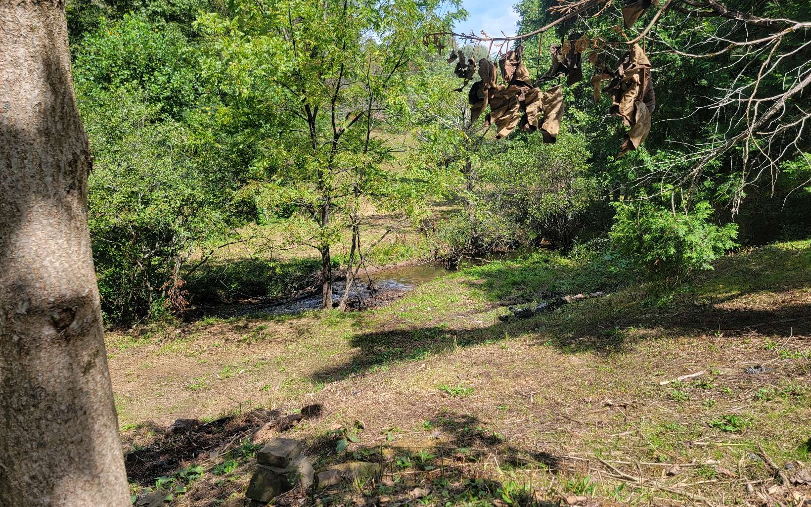 154 Dinkins Creek Road Murphy, NC 28906 - Photo 6 of 20 Additional View