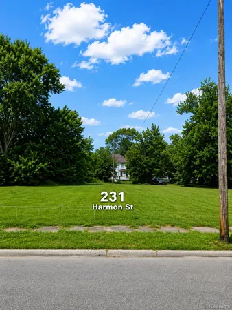 $20,000 | 231 Harmon Street, Detroit, MI 48202