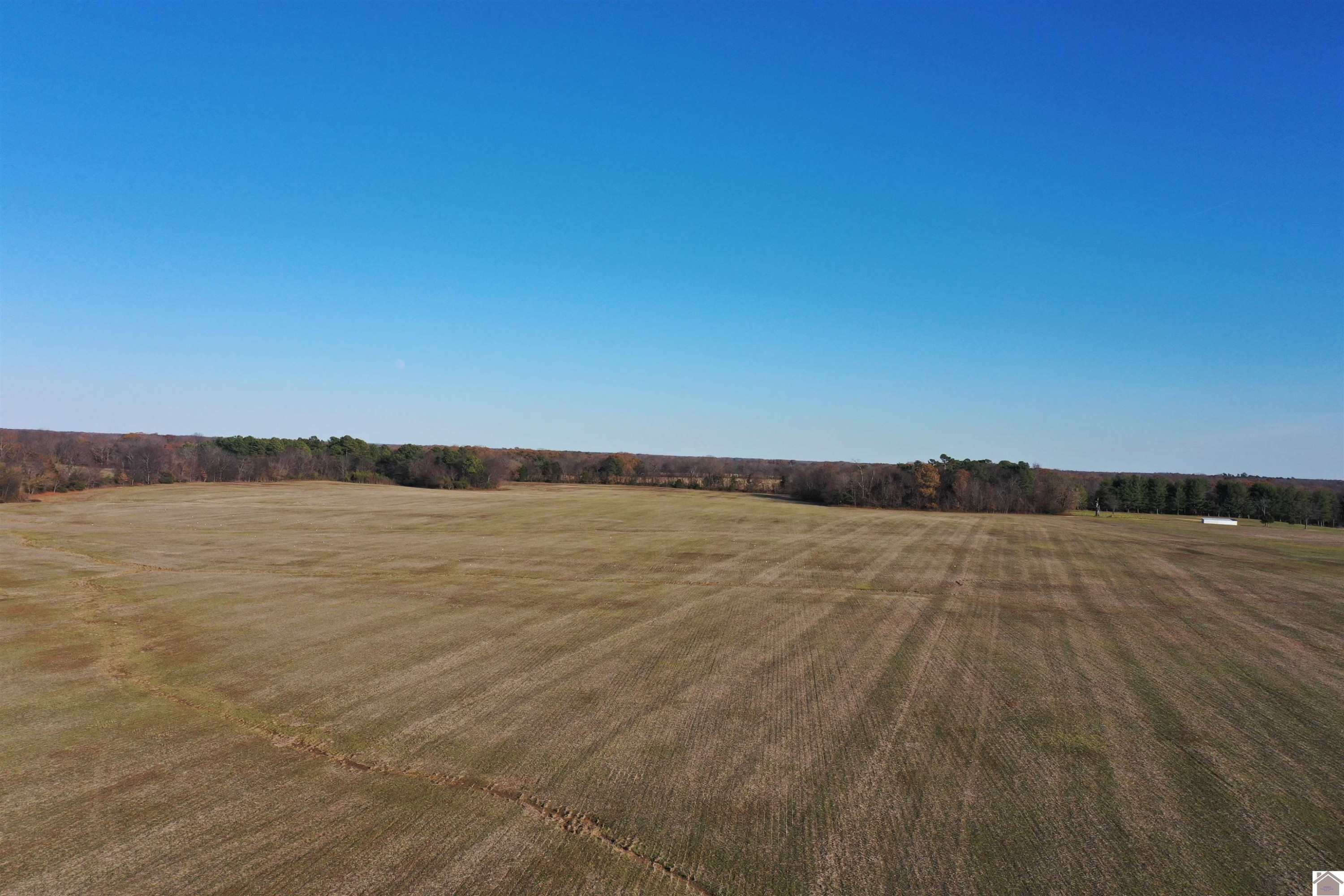 0 Coles Campground Road Murray, KY 42071 - Photo 13 of 15 Photo 13