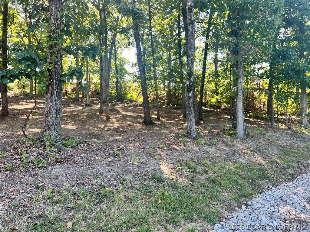 Lot 31 Willow Ridge Road Lake Ozark, MO 65049 - Photo 9 of 12 Gallery Image 9