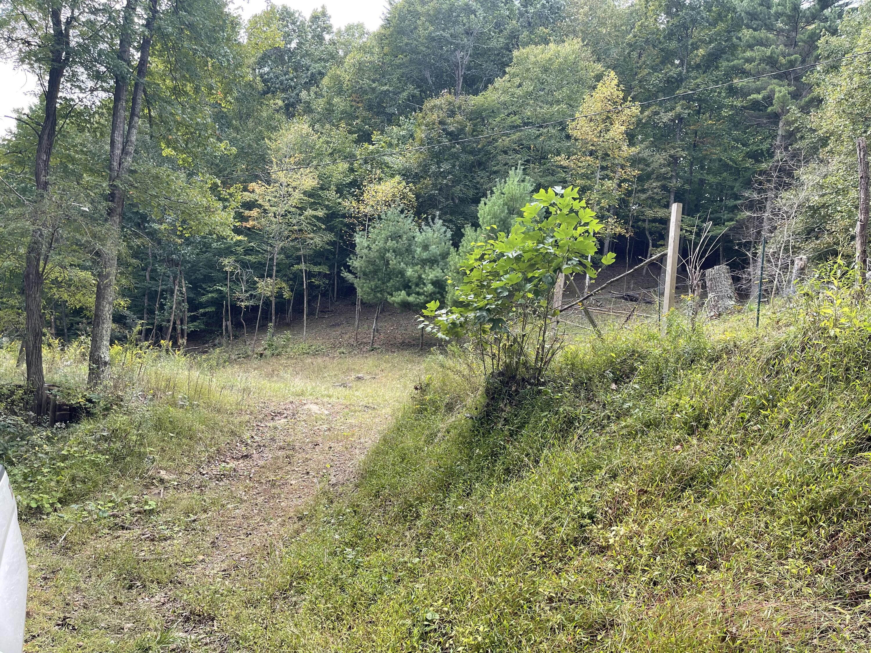 1363 Will Dodd Road Jumping Branch, WV 25969 - Photo 1 of 10 Gallery Image 1