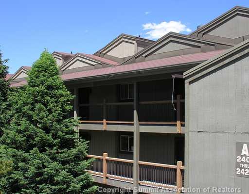 1201 Ryan Gulch Road, Unit 201 Silverthorne, CO 80498 - Photo 3 of 8