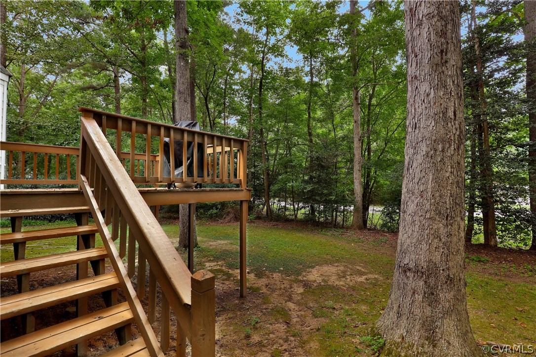 14602 Ridge Point Drive Midlothian, VA 23112 - Photo 24 of 25 a view of deck with a backyard