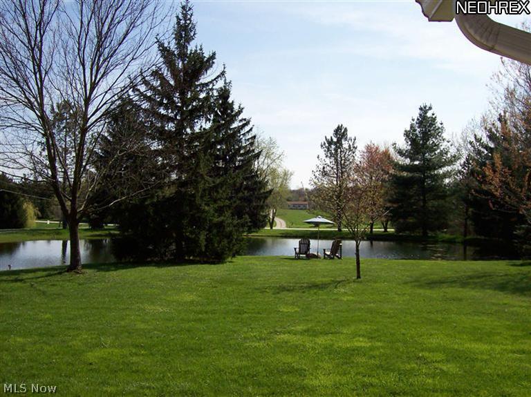 7555 Stone Road Medina, OH 44256 - Photo 22 of 25 Can you imagine sitting there on a nice summer day enjoying nature at it's finest???