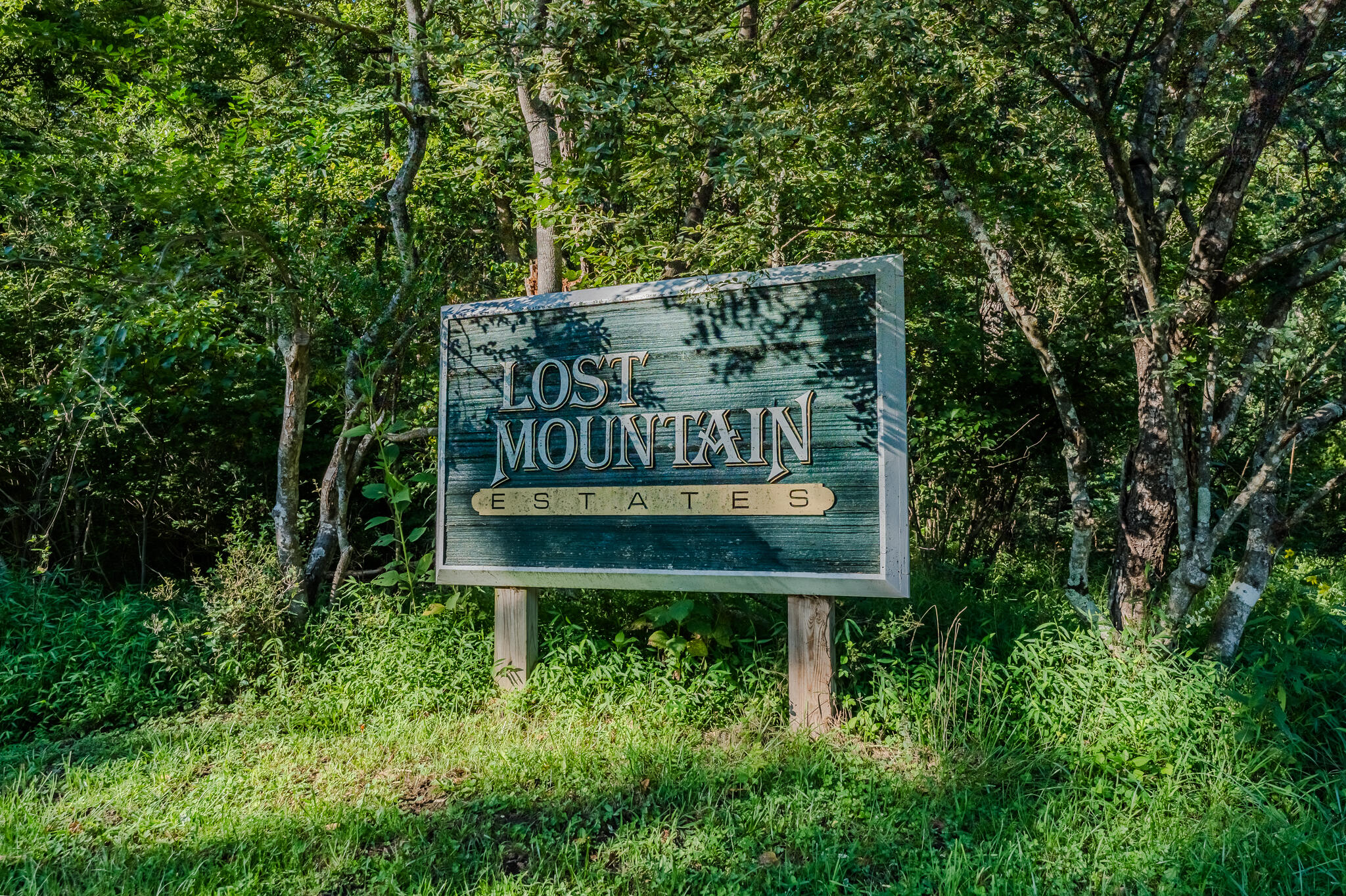 5502 Ridgelea Road Roanoke, VA 24018 - Photo 12 of 42 L1001475-HDR