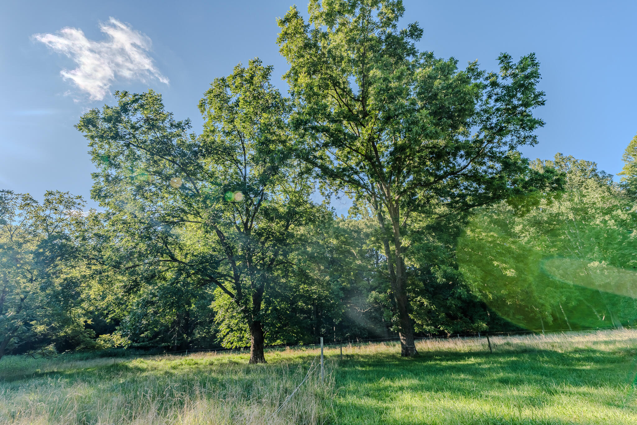 5502 Ridgelea Road Roanoke, VA 24018 - Photo 15 of 42 L1001465-HDR