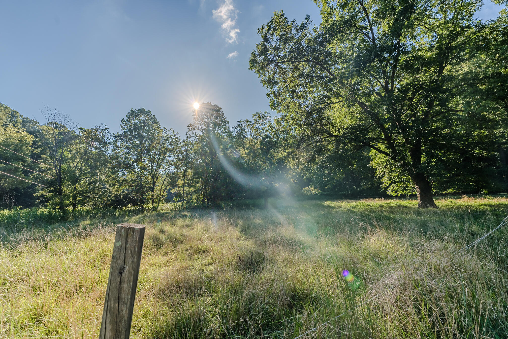 5502 Ridgelea Road Roanoke, VA 24018 - Photo 21 of 42 L1001460-HDR