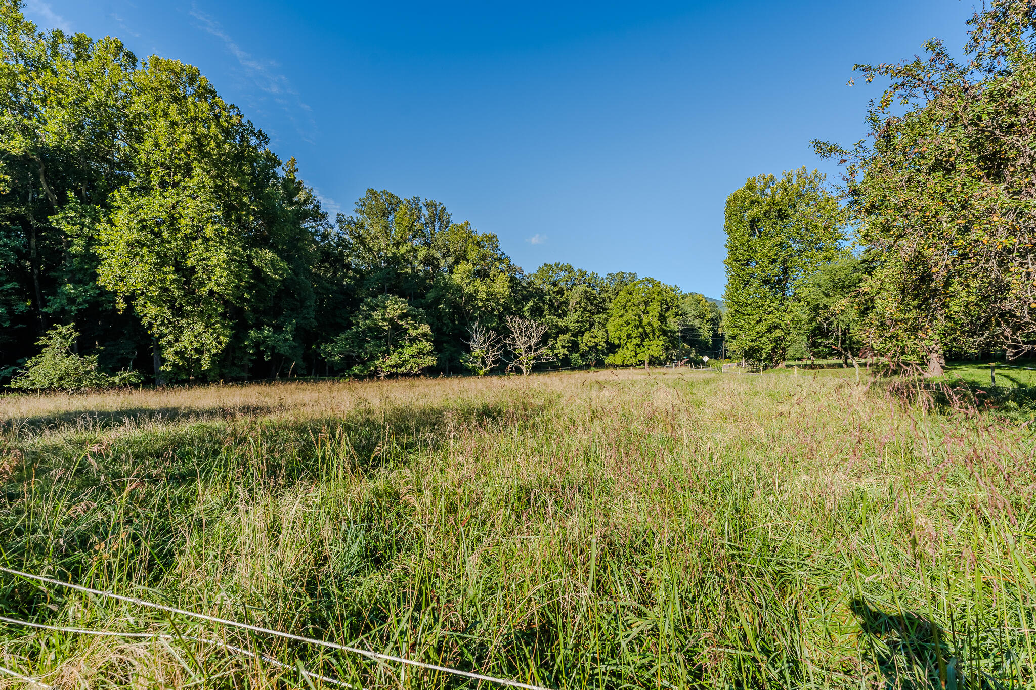 5502 Ridgelea Road Roanoke, VA 24018 - Photo 30 of 42 L1001435-HDR