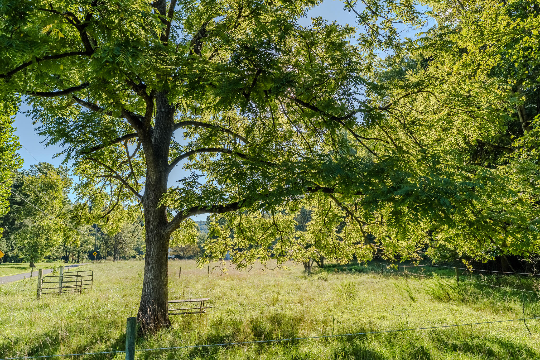 5502 Ridgelea Road Roanoke, VA 24018 - Photo 10 of 42 L1001480-HDR