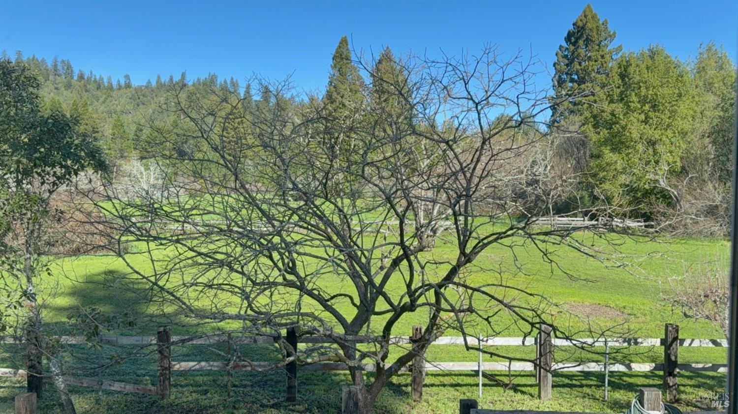 16160 Laughlin Road Guerneville, CA 95446 - Photo 33 of 48 View from back deck