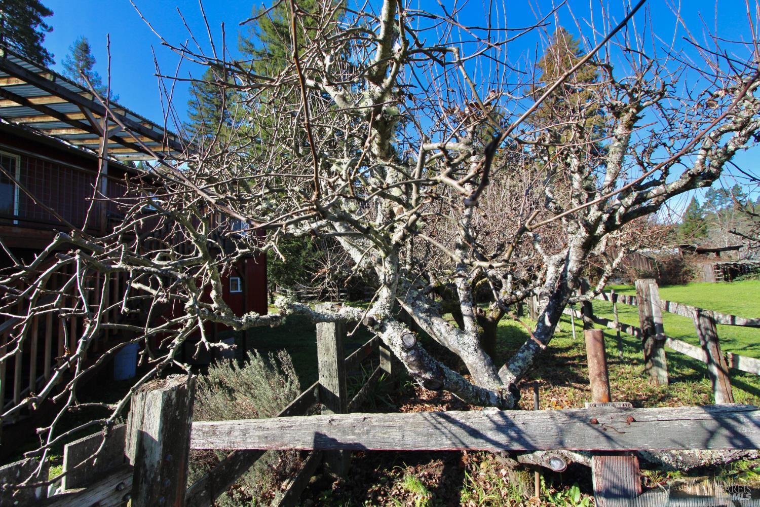 16160 Laughlin Road Guerneville, CA 95446 - Photo 38 of 48