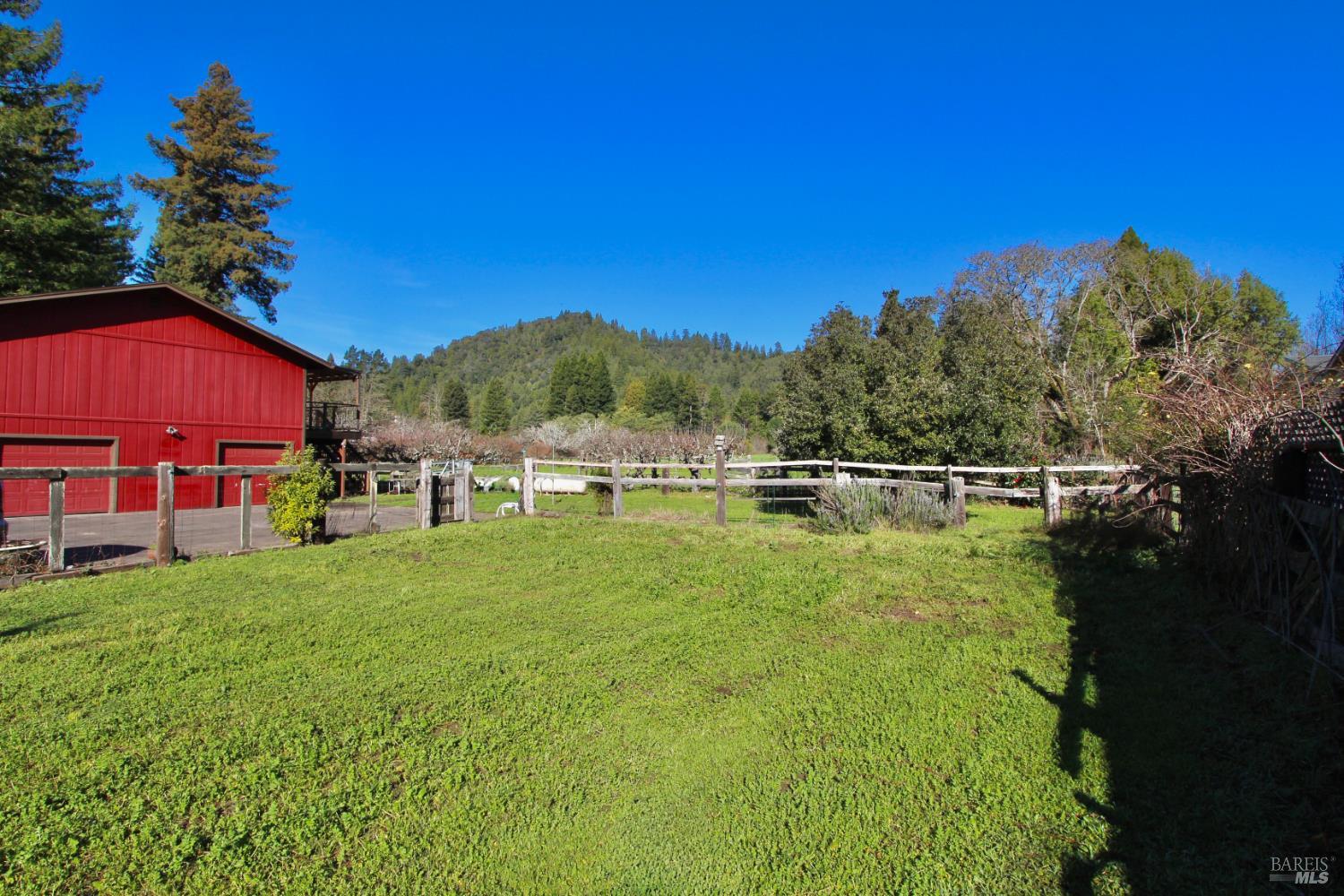 16160 Laughlin Road Guerneville, CA 95446 - Photo 42 of 48 Front yard #2 right side of driveway