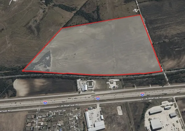 a close up of a plant