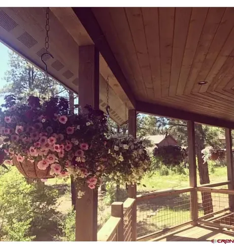a view of a pathway with a tree
