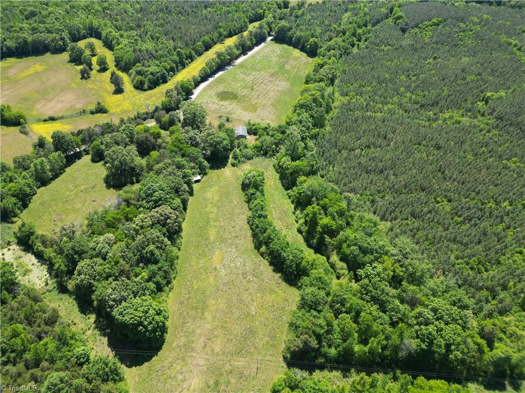 7875 Antioch Church Road Seagrove, NC 27341 - Photo 1 of 44