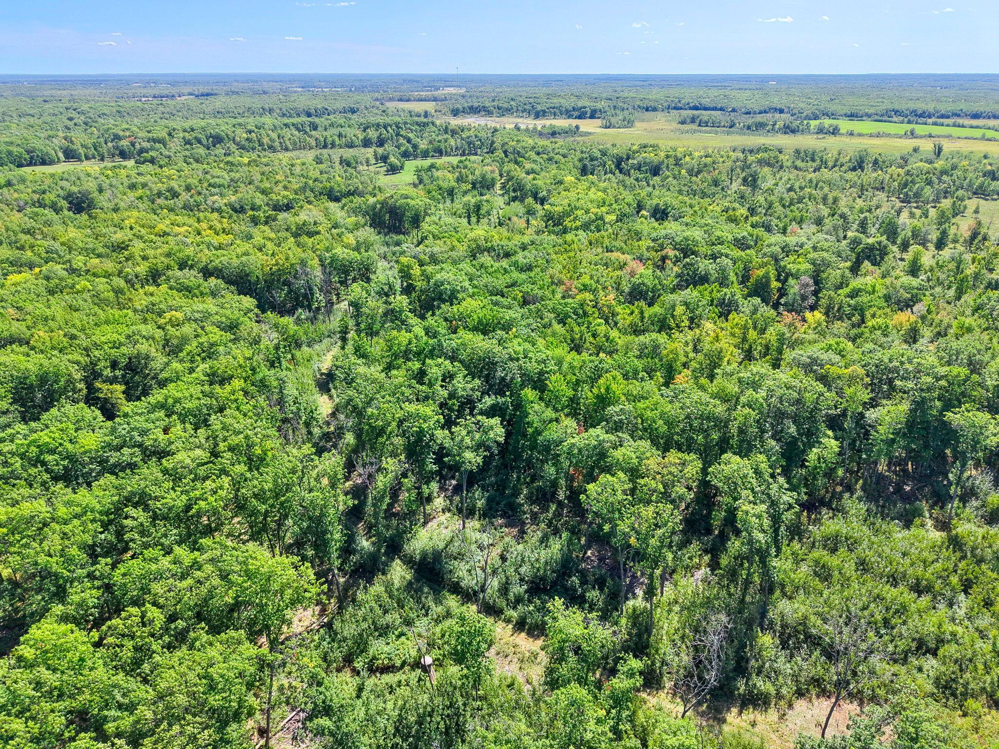 Xxx Fleming Logging Road Hinckley, MN 55037 - Photo 45 of 87 Gallery Image 45