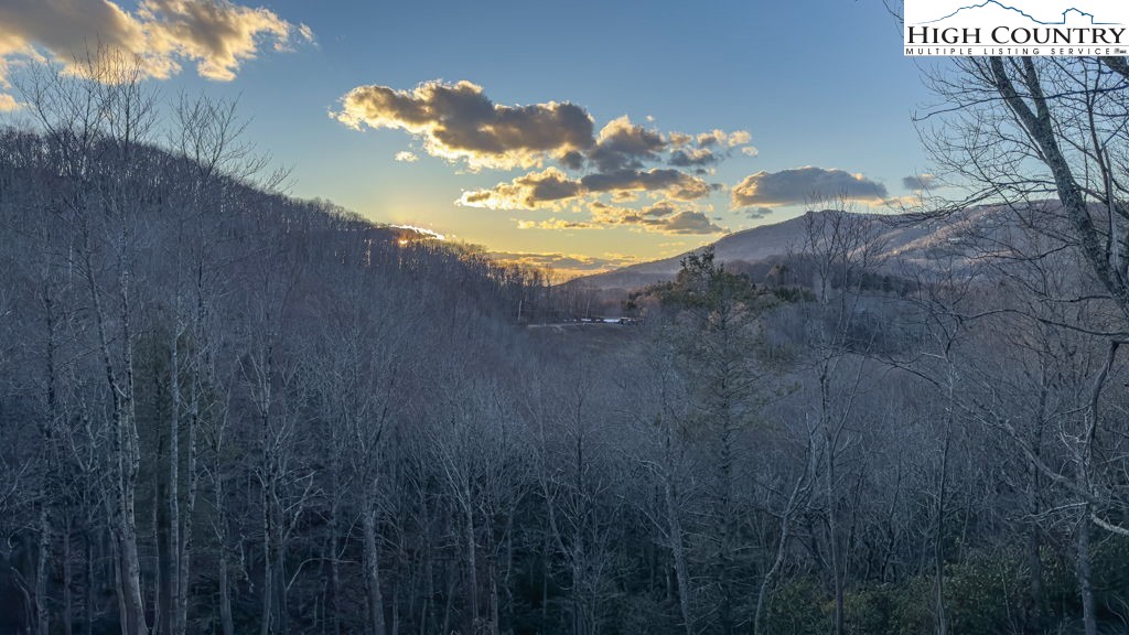 Lot 40 Snowridge Road Banner Elk, NC 28604 - Photo 1 of 5 a view of a dry yard