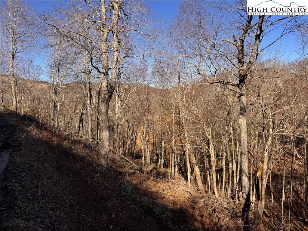 Lot 40 Snowridge Road Banner Elk, NC 28604 - Photo 2 of 5 a view of outdoor space and yard