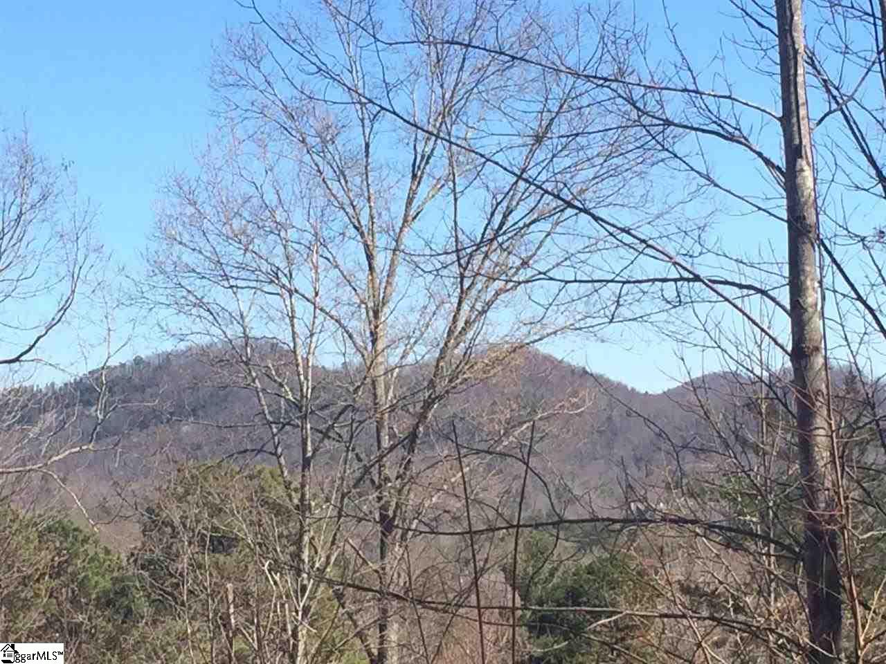 18 Angle Stone Way Travelers Rest, SC 29690 - Photo 2 of 7