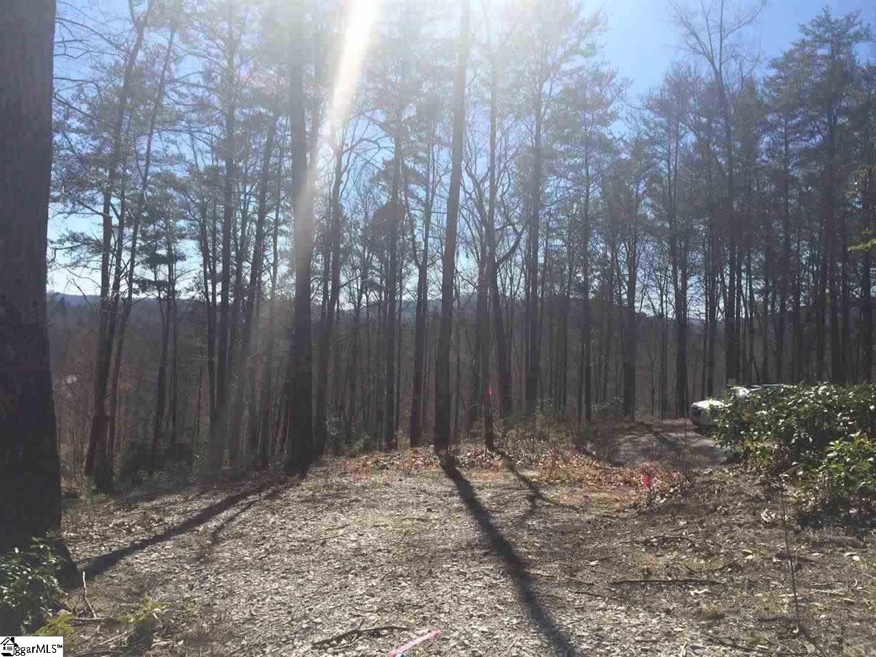 18 Angle Stone Way Travelers Rest, SC 29690 - Photo 3 of 7