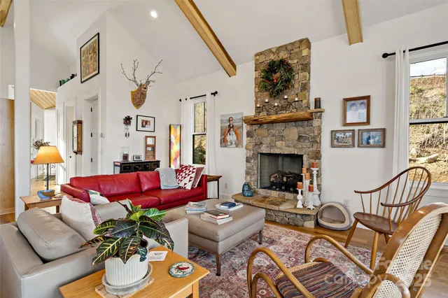 a living room with furniture potted plant and a fireplace