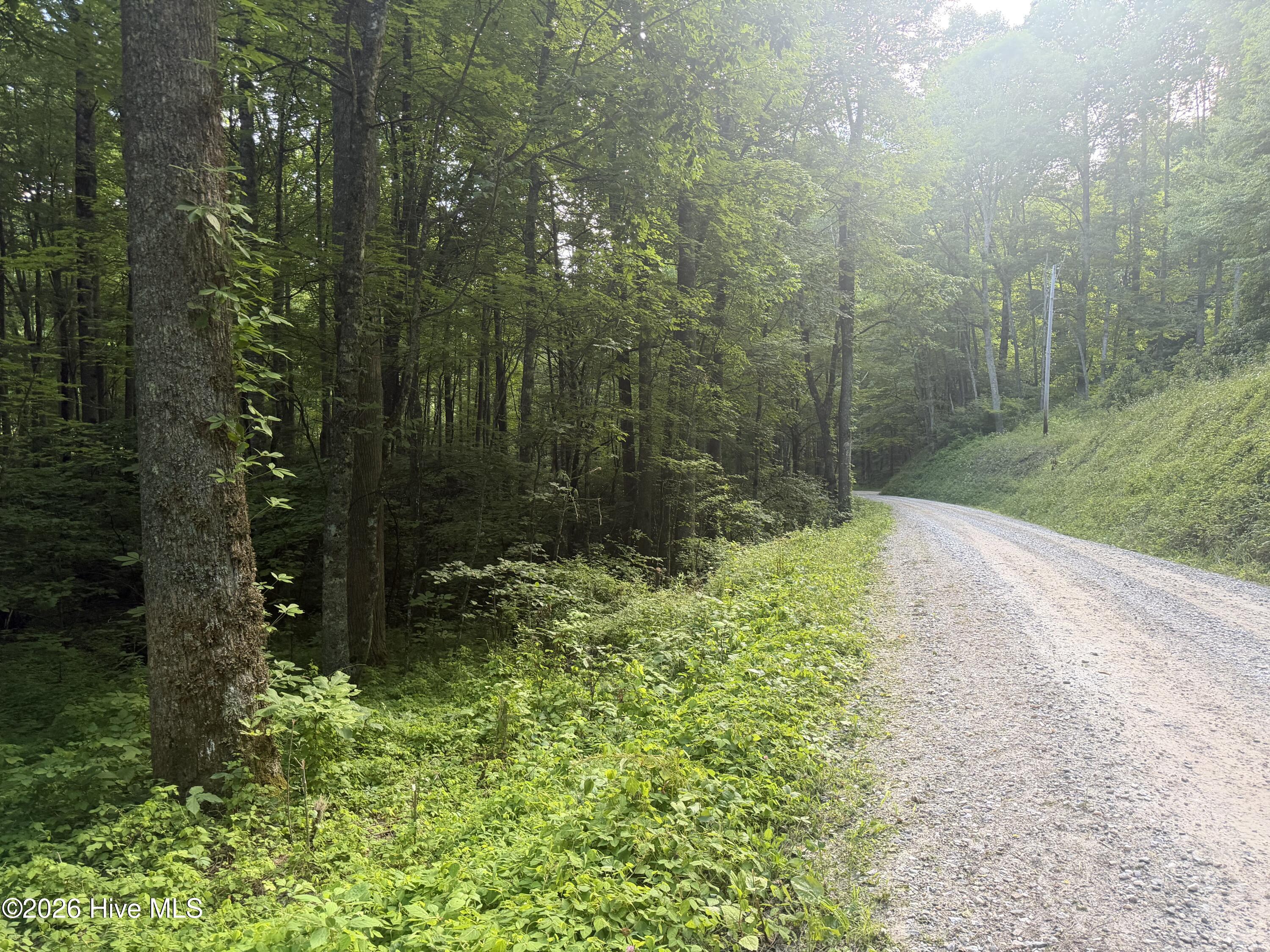 0 Otter Creek Road Topton, NC 28781 - Photo 7 of 20