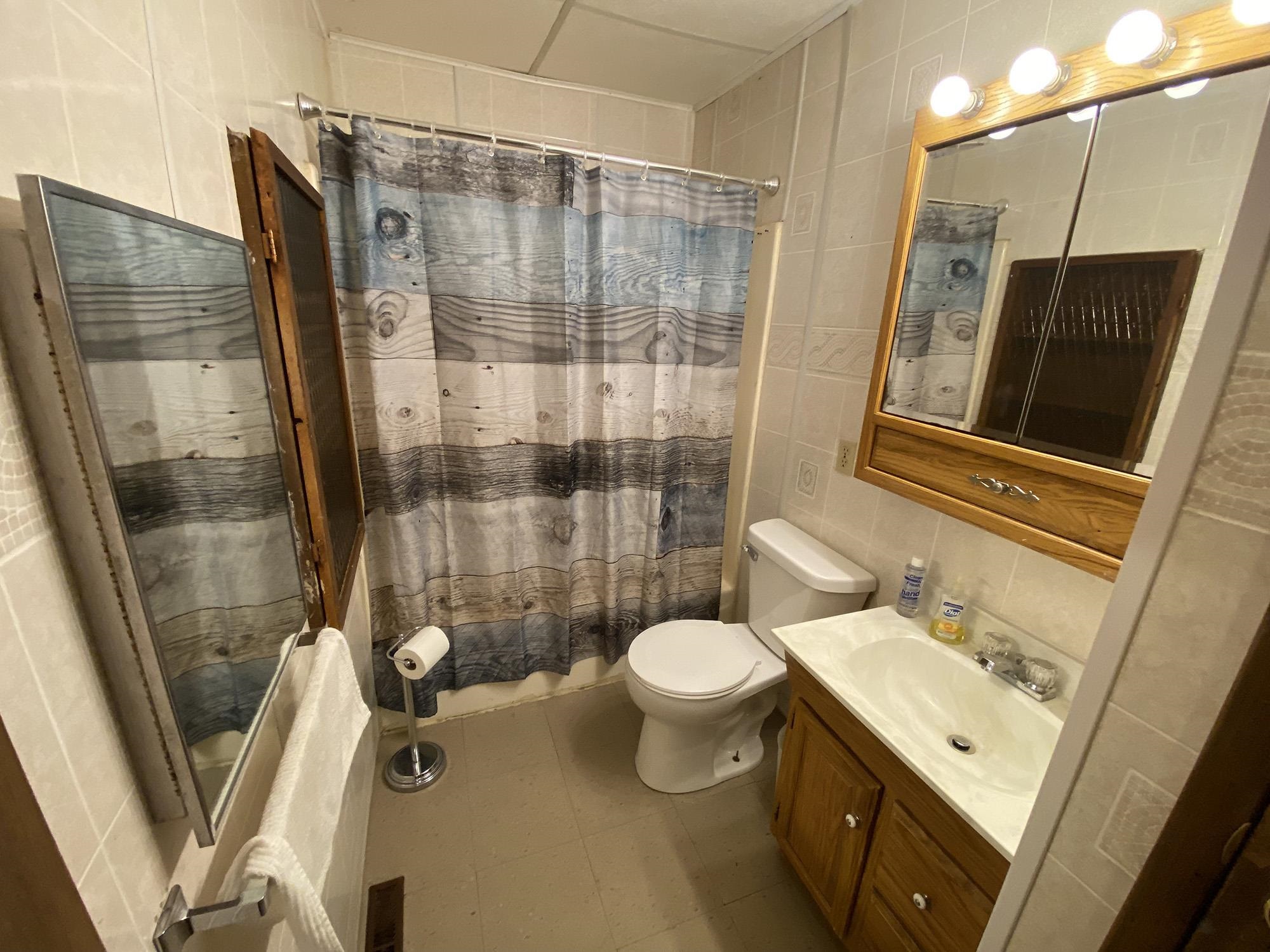 617 South Ridge Street Shannon, IL 61078 - Photo 18 of 30 a bathroom with a sink toilet and shower