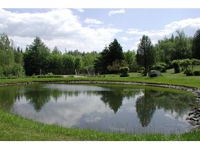 206 Sheldon Farm Road Montgomery, VT 05471 - Photo 2 of 6