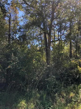 $24,900 | Lot 24 Durnin Street, Lacombe, LA 70445