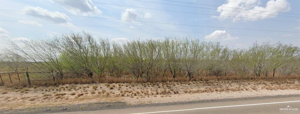 490 St Rio Grande City Tx 78582 Rio Grande City, TX 78582 - Photo 2 of 2 a view of a backyard of the house