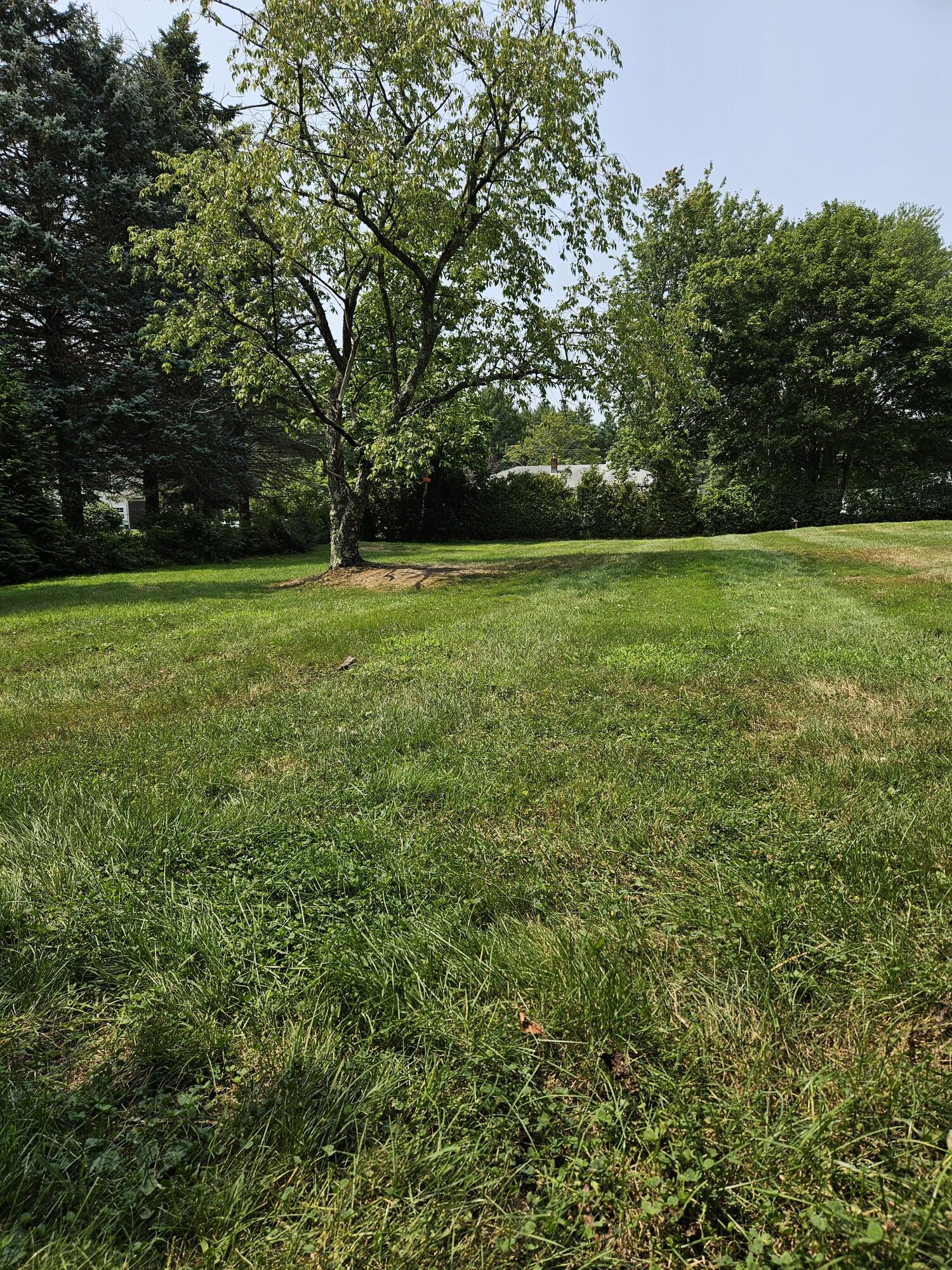18 Buxton Road Saco, ME 04072 - Photo 80 of 86 summer lawn