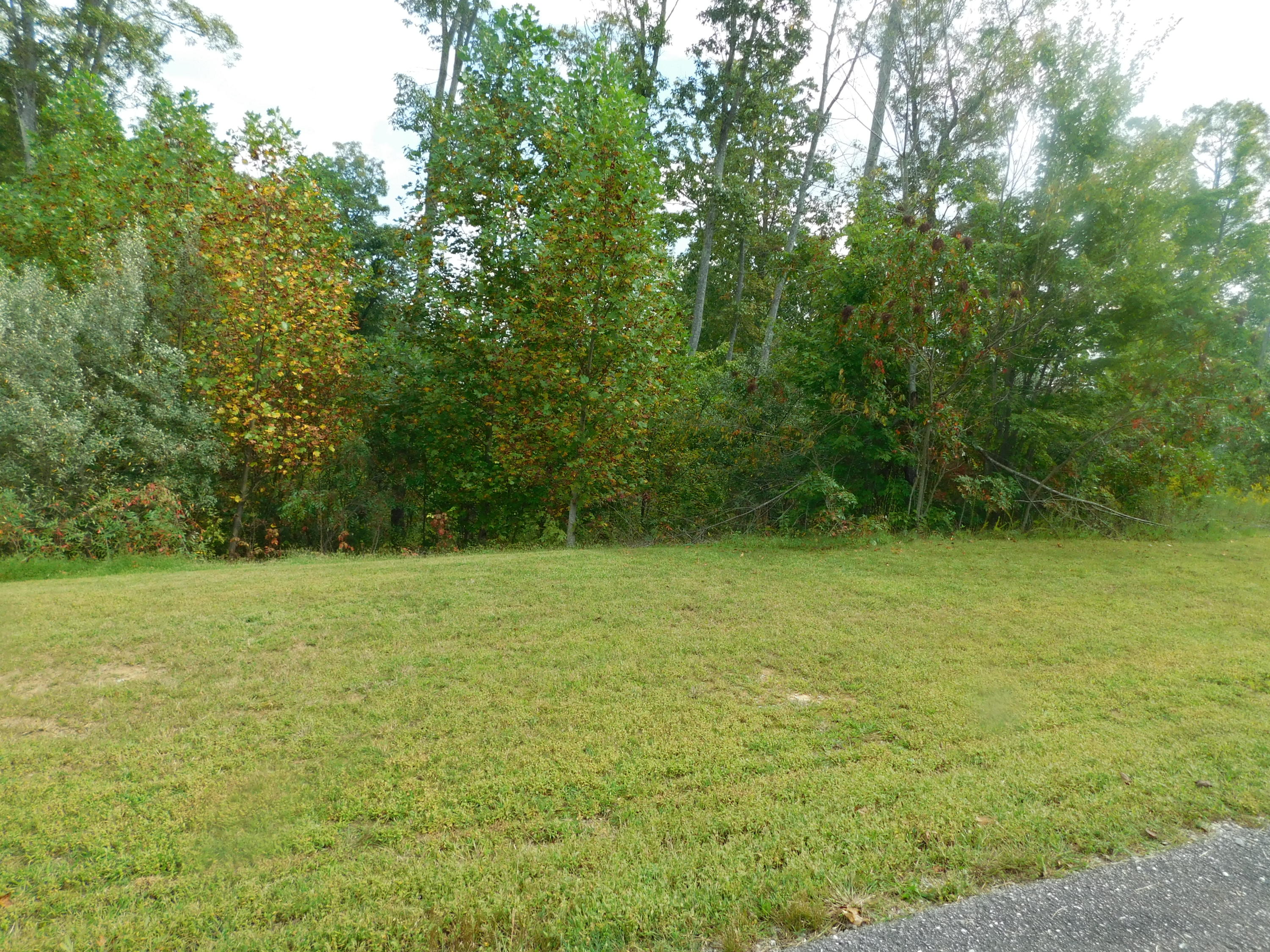 Brave Drive Oneida, TN 37841 - Photo 1 of 11 View 1
