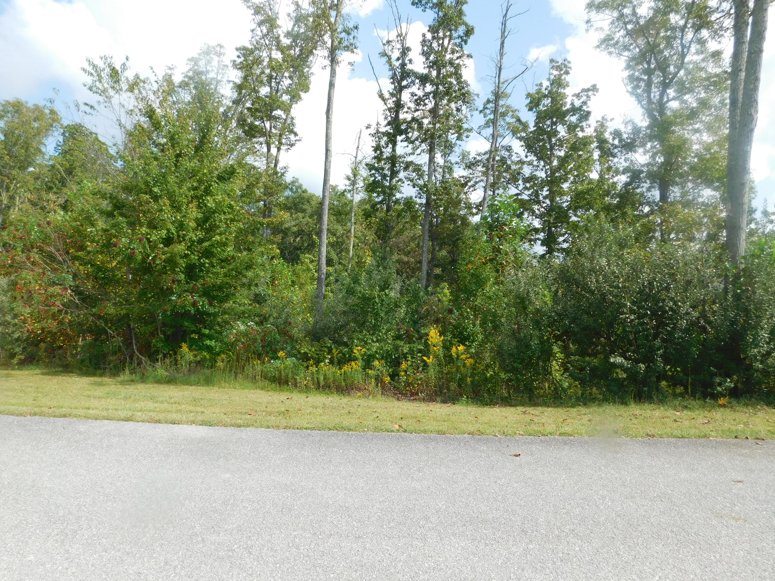 Brave Drive Oneida, TN 37841 - Photo 2 of 11 View 2