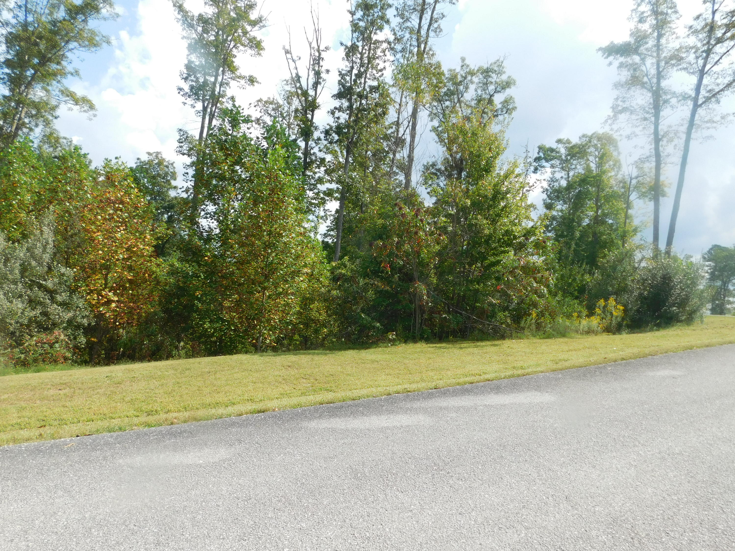 Brave Drive Oneida, TN 37841 - Photo 5 of 11 View 4