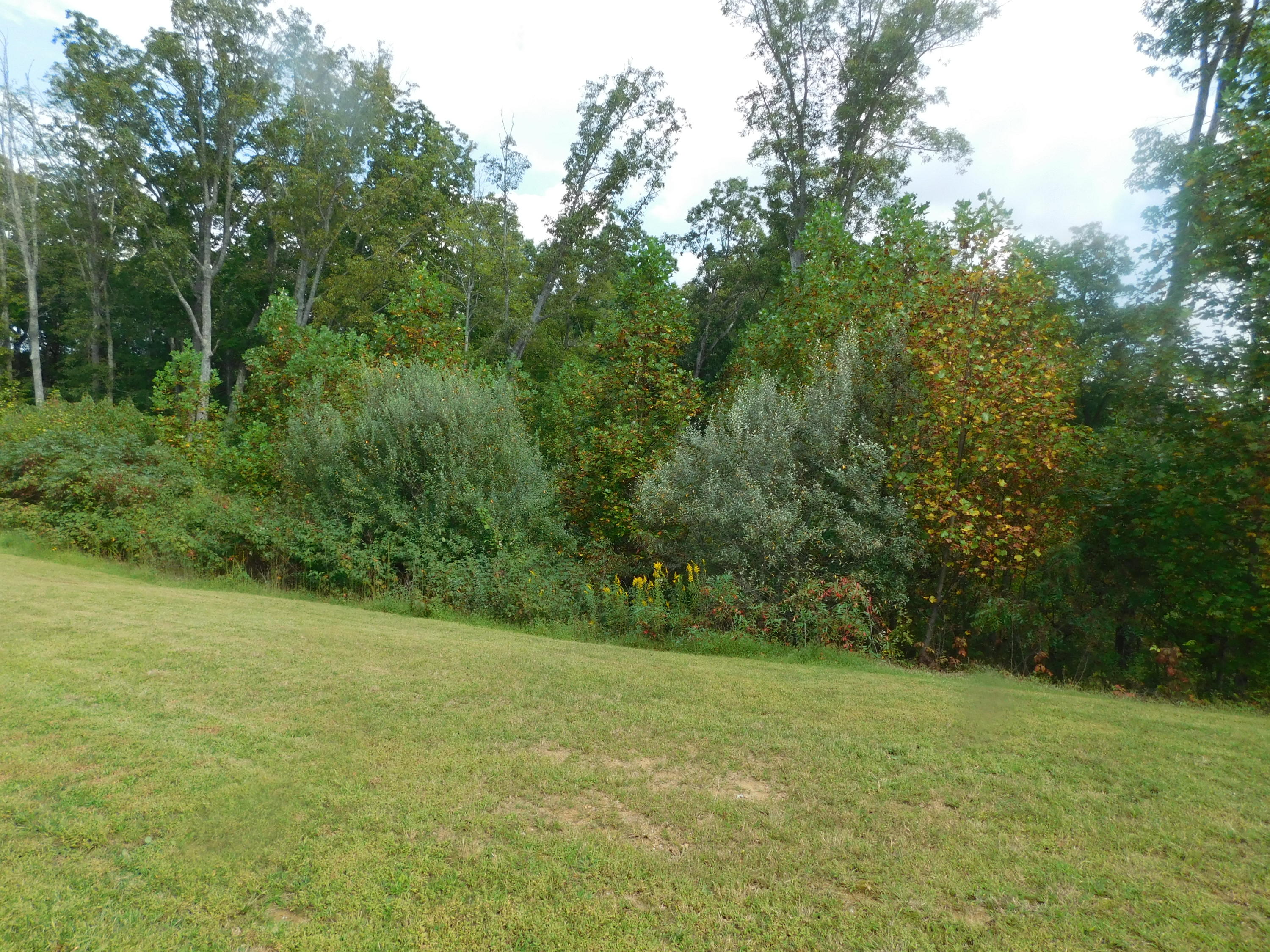 Brave Drive Oneida, TN 37841 - Photo 7 of 11 View 5