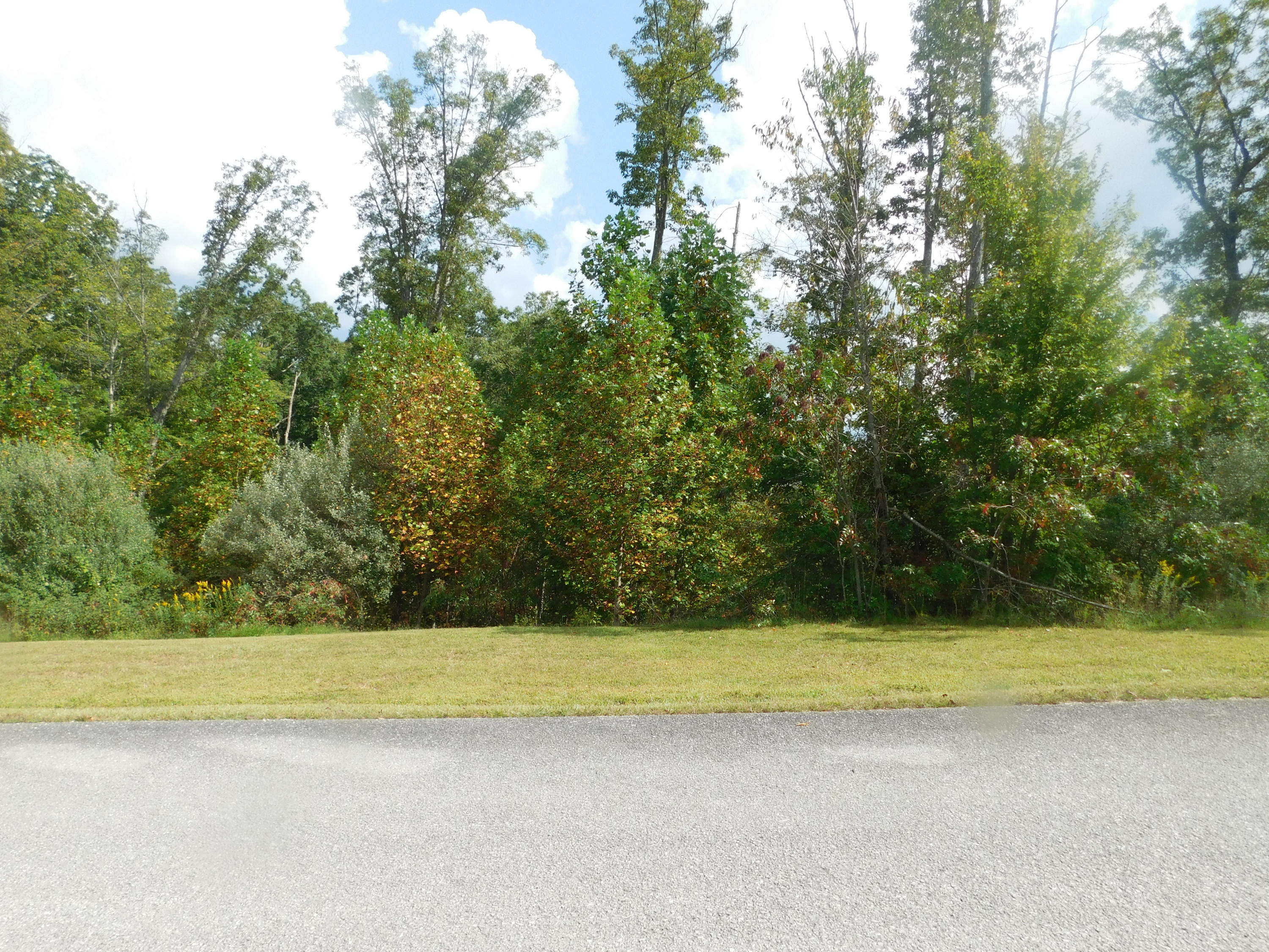 Brave Drive Oneida, TN 37841 - Photo 8 of 11 View 6