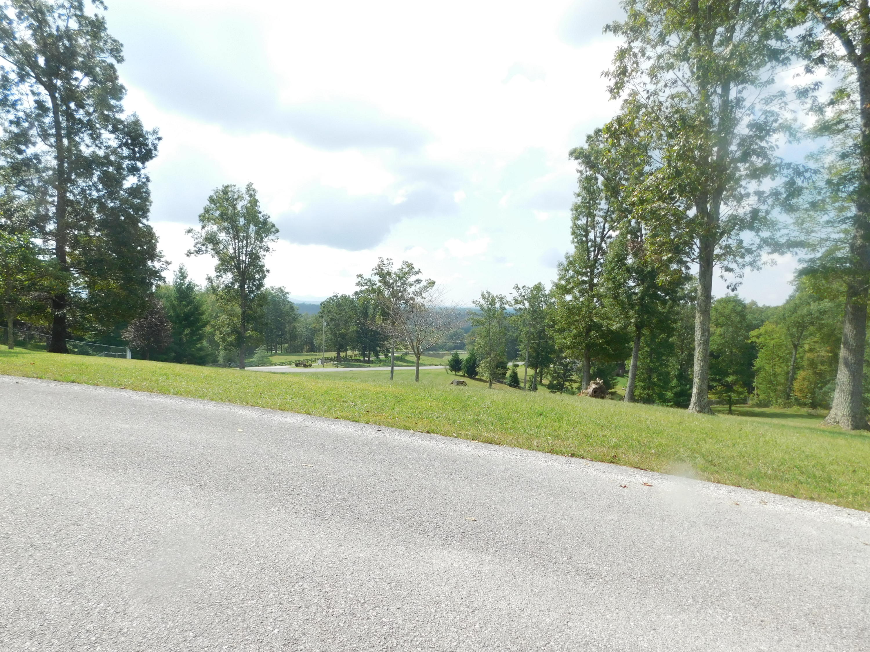 Brave Drive Oneida, TN 37841 - Photo 10 of 11 Across Road from Lot