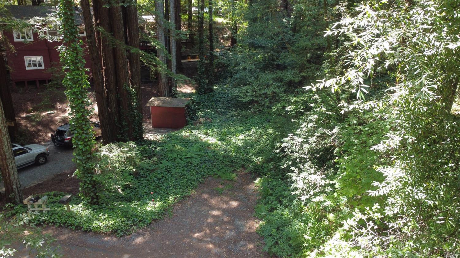 19170 Old Monte Rio Road Guerneville, CA 95446 - Photo 8 of 10 a picture of trees