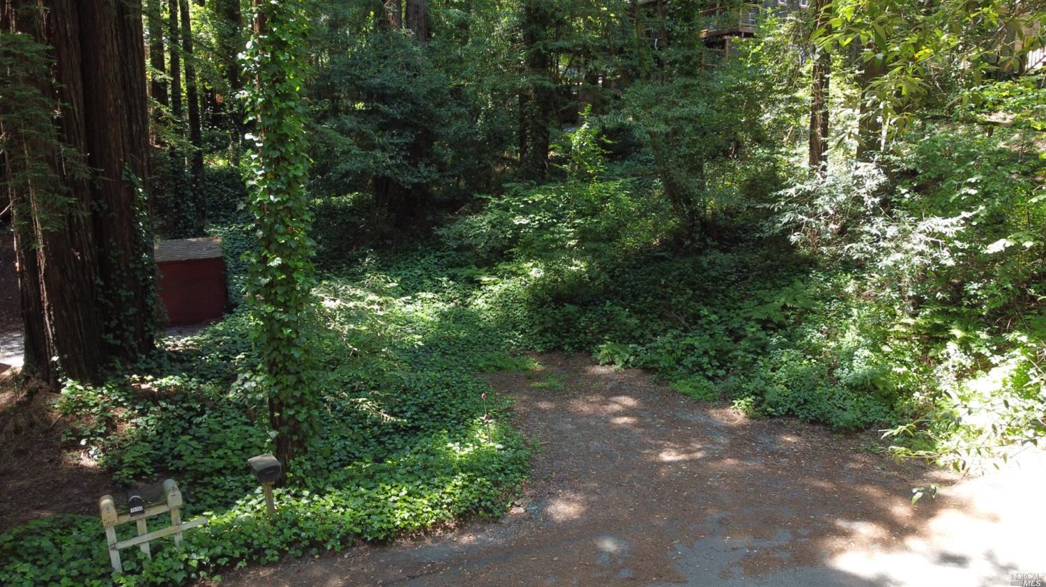 19170 Old Monte Rio Road Guerneville, CA 95446 - Photo 9 of 10 a view of a street with lots of bushes