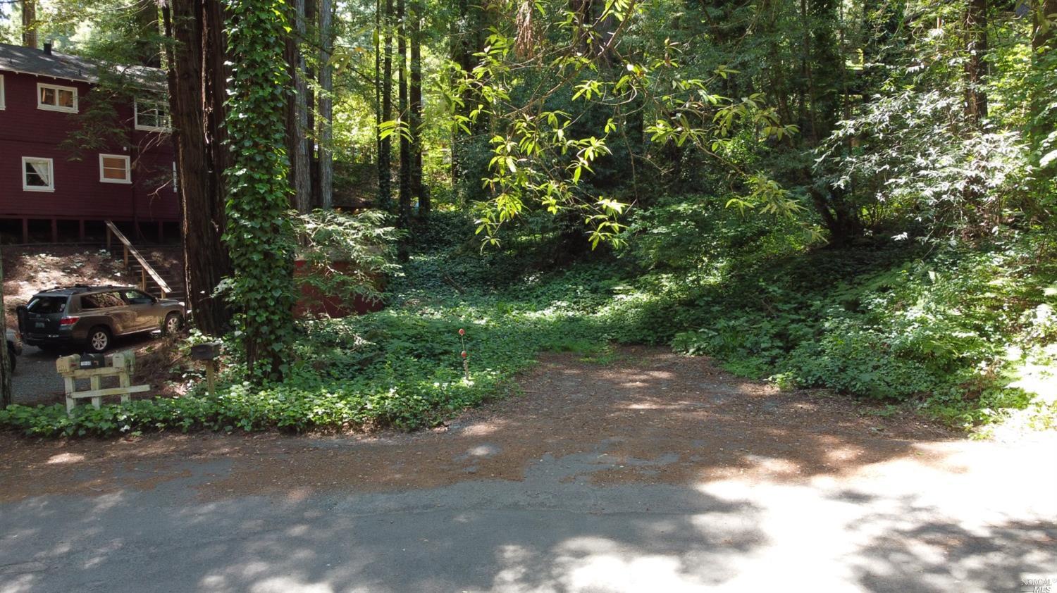 19170 Old Monte Rio Road Guerneville, CA 95446 - Photo 10 of 10 a backyard of a house with lots of green space