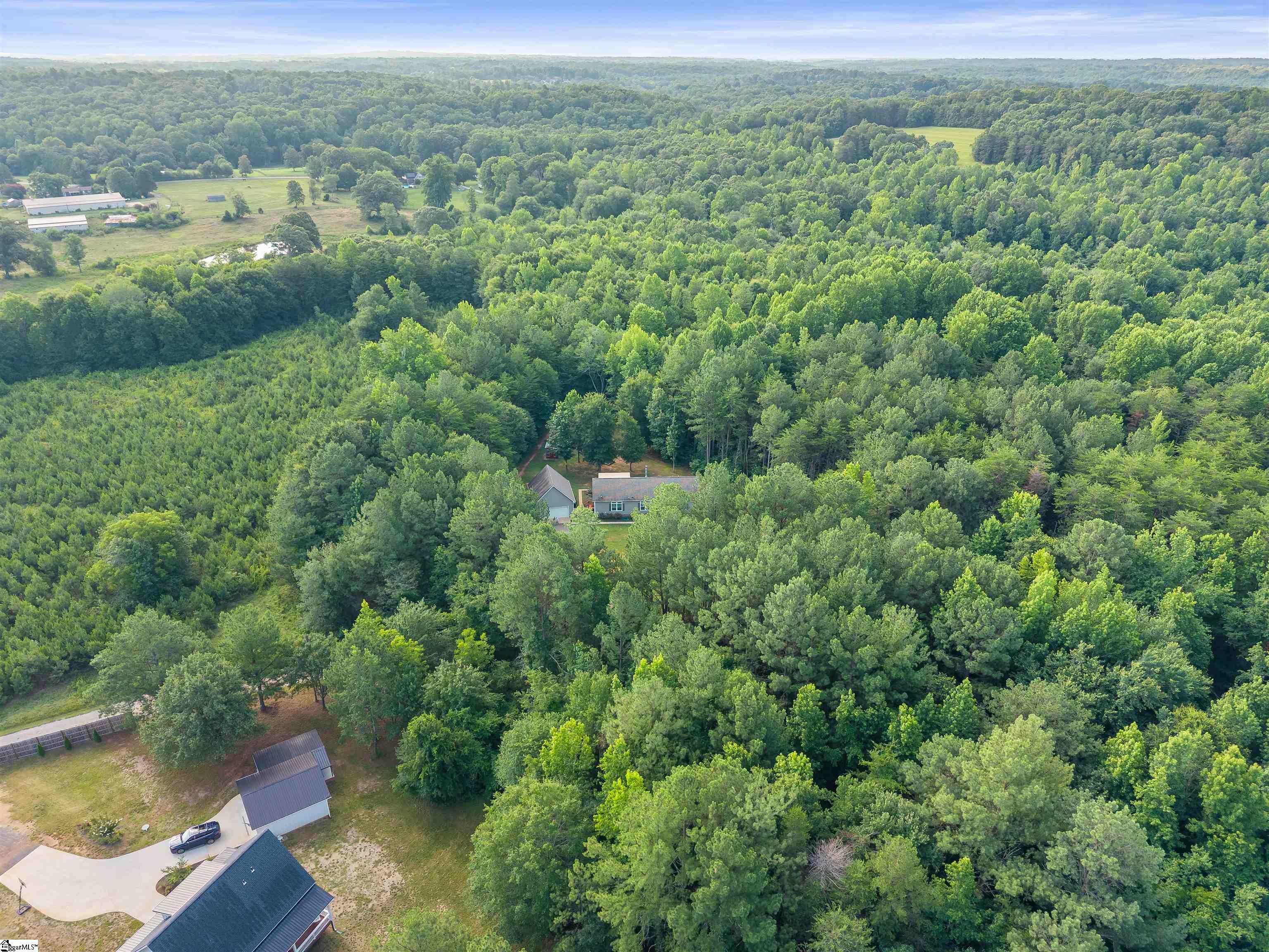 776 Pine Log Ford Road Travelers Rest, SC 29690 - Photo 45 of 49