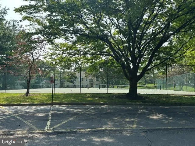 a view of a park with tree s