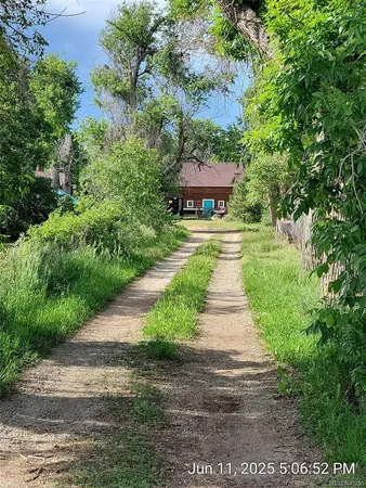 a front view of a house with a yard and trees