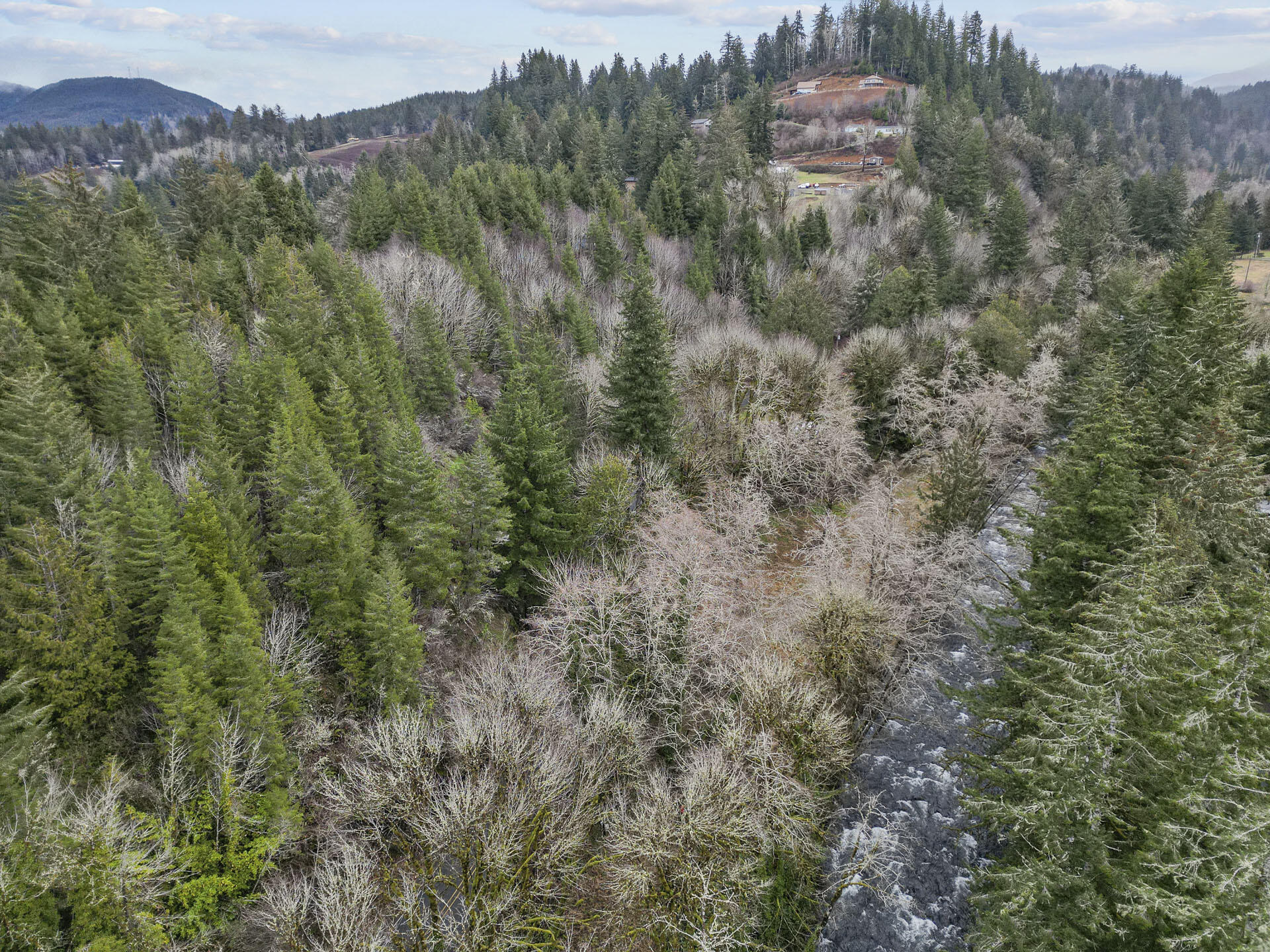 400 North Slick Rock Creek Road Otis, OR 97368 - Photo 9 of 20 Drone- View of Lot
