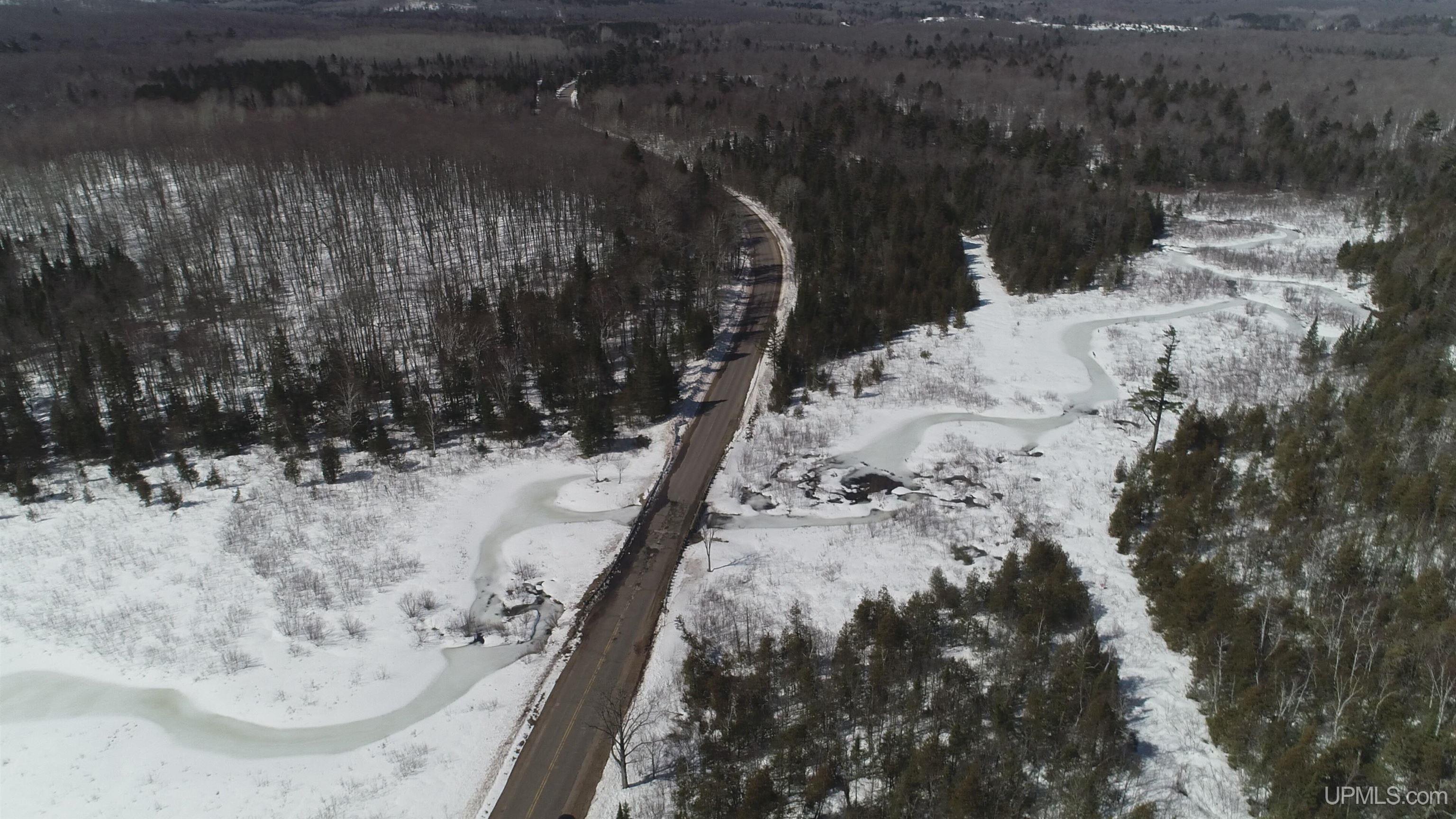 40-acres Little Lake Road Gwinn, MI 49841 - Photo 13 of 25
